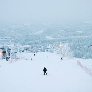 IMG_8265.jpg