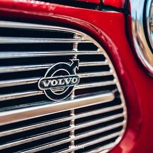Volvo P123GT