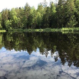 16a6f4f9-923b-4345-bdb5-2a6c42939b8c.jpg