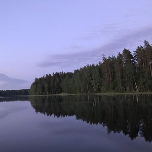 ffb3d74f-a773-484a-a3b0-9f122e4abd89.jpg
