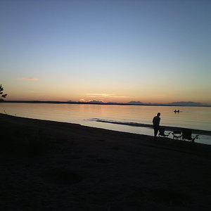 IMG_20200703_223150.jpg