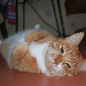 любимая поза
