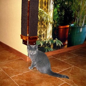 Около своей когтедралки