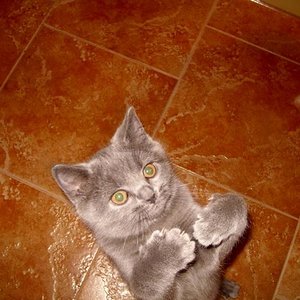 "Подаааайте люди добрые!"
