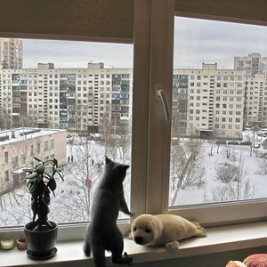 А теперь лааамбада!
P.S.Удержалась таки:)))