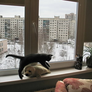 Летаем..низёхонько