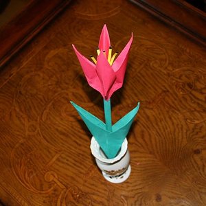 IMG 1960