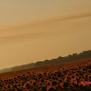 DSC04917