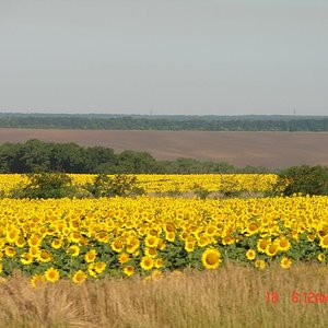 DSC04929