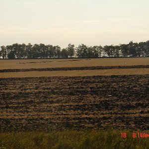 DSC04932