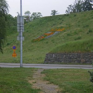 IMGP2119