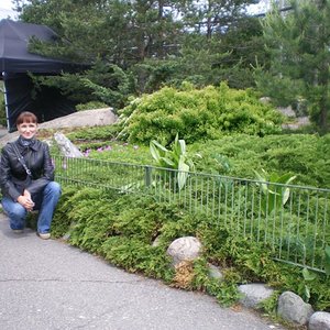 IMGP2169