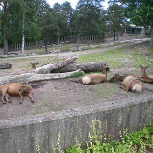 IMGP2187