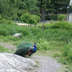 IMGP2194