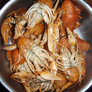 раки