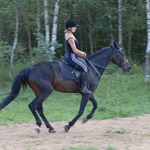 Чип