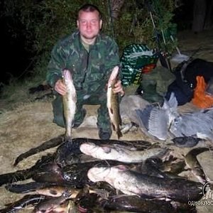 сомики