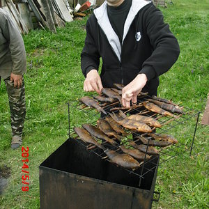 язь в готовом виде