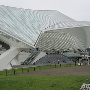 IMG 6131