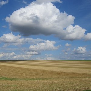 IMG 6315