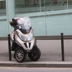 IMG 6366