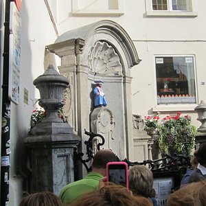 IMG 6653