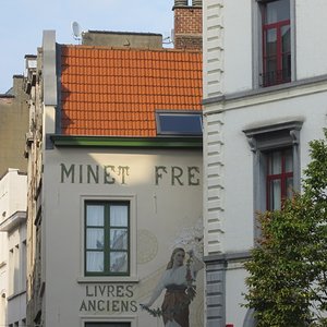 IMG 6657