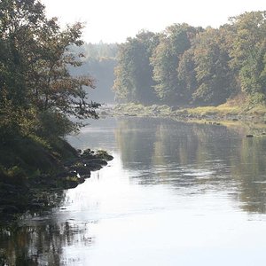 IMG 4462