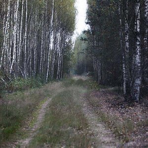 IMG 4553