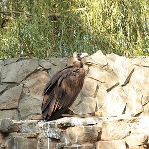 IMG 7347