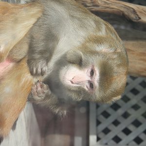 IMG 7271