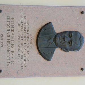 IMG 7243