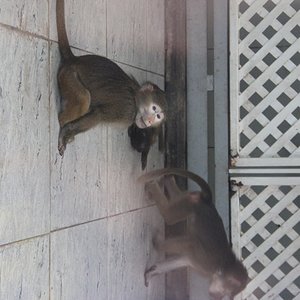 IMG 7265