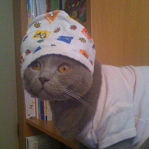 Тимоха