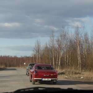 IMG 3981
