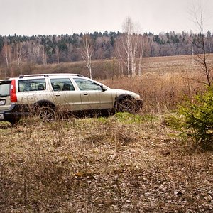 forest9