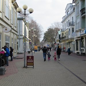 IMG 1079