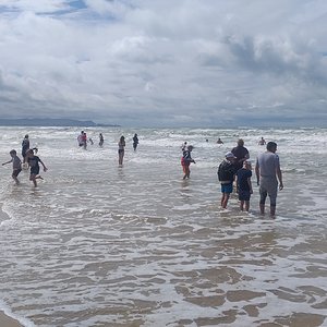 20210604_102734.jpg