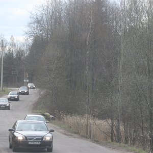 IMG 178.jpg