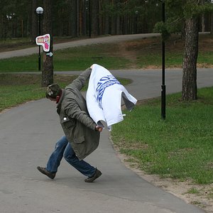 IMG 190.jpg