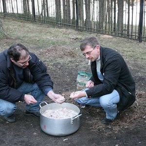 IMG 276.jpg