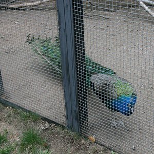 IMG 359.jpg