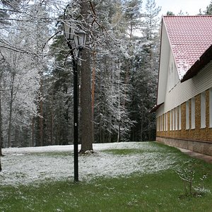 IMG 491.jpg