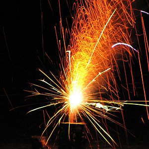 IMG_1320.jpg