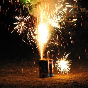 IMG_1338.jpg