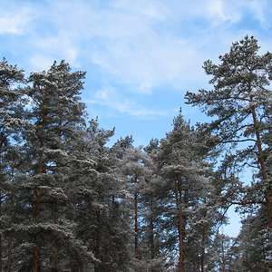 IMG_1649.jpg
