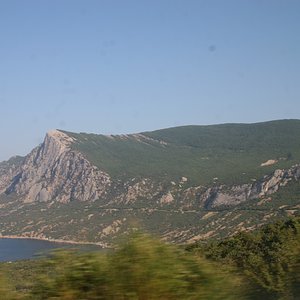 IMG 031_resize.jpg