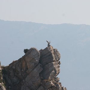 IMG 096.jpg
