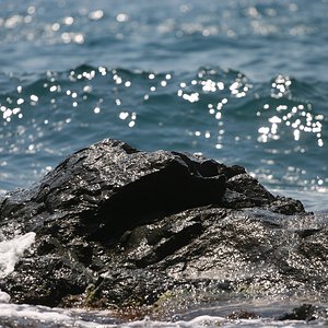 IMG 157_resize.jpg