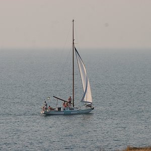 IMG 232.jpg